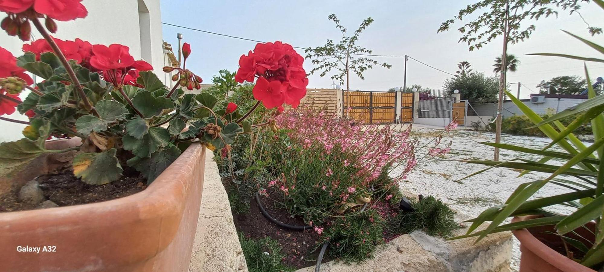 Almademari Giglio Casa Vacanza Пакино Стая снимка