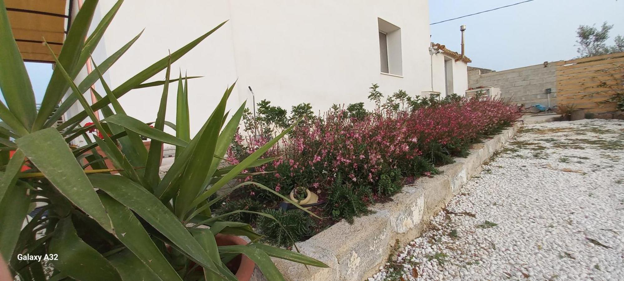 Almademari Giglio Casa Vacanza Пакино Стая снимка